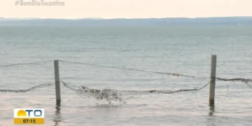 Jovem morreu enquanto tentava nadar em lago — Foto: Reprodução/TV Anhanguera