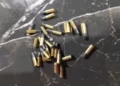 Munição encontrada na casa de um dos investigados — Foto: Divugação/SSPTO