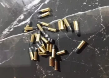 Munição encontrada na casa de um dos investigados — Foto: Divugação/SSPTO