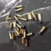 Munição encontrada na casa de um dos investigados — Foto: Divugação/SSPTO