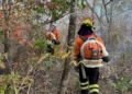 Divulgação/ Corpo de Bombeiros de Goiás