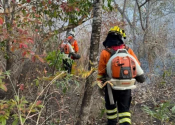 Divulgação/ Corpo de Bombeiros de Goiás