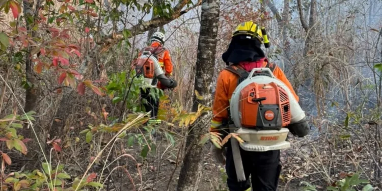 Divulgação/ Corpo de Bombeiros de Goiás