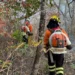Divulgação/ Corpo de Bombeiros de Goiás