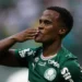 Cesar Greco/Palmeiras