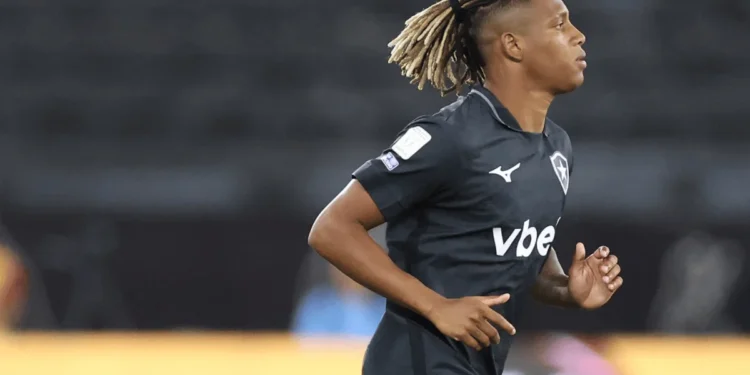 Vitor Silva/Botafogo