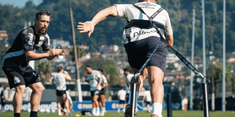 Raul Baretta/ Santos FC.