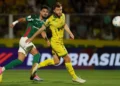 Cesar Greco/Palmeiras
