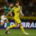 Cesar Greco/Palmeiras