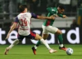 Cesar Greco/Palmeiras/by Canon