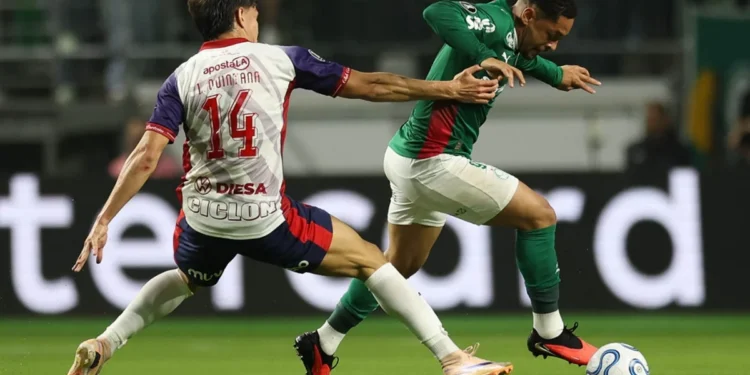 Cesar Greco/Palmeiras/by Canon