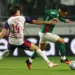 Cesar Greco/Palmeiras/by Canon