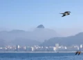 Tânia Rêgo/Agência Brasil