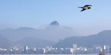 Tânia Rêgo/Agência Brasil