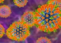 Kateryna Kon/Science Photo Likbrary/Getty Images