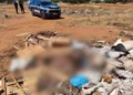 Corpo esquartejado é encontrado dentro de sacos em área verde na região sul de Palmas — Foto: Divulgação/GMP