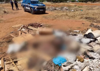 Corpo esquartejado é encontrado dentro de sacos em área verde na região sul de Palmas — Foto: Divulgação/GMP