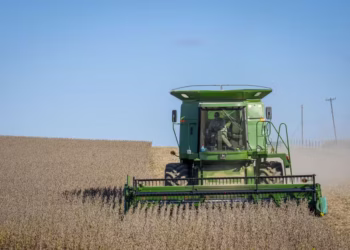 A colheita da soja em andamento nos Estados Unidos e os preços mais baixos do petróleo puxam as cotações para baixo — Foto: Preston Keres/USDA