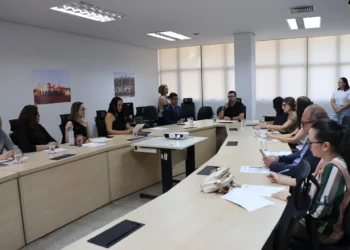 Foto: Rozeane
 Feitosa/Governo do Tocantins