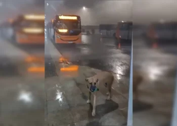 Imagem cedida ao Metrópoles