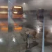 Imagem cedida ao Metrópoles