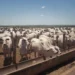 Foto: Wenderson Araujo/CNA