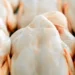 Foto: Canva/Creative Commons