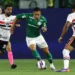 Cesar Greco/Palmeiras