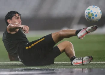 Vitor Silva/Botafogo