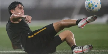 Vitor Silva/Botafogo
