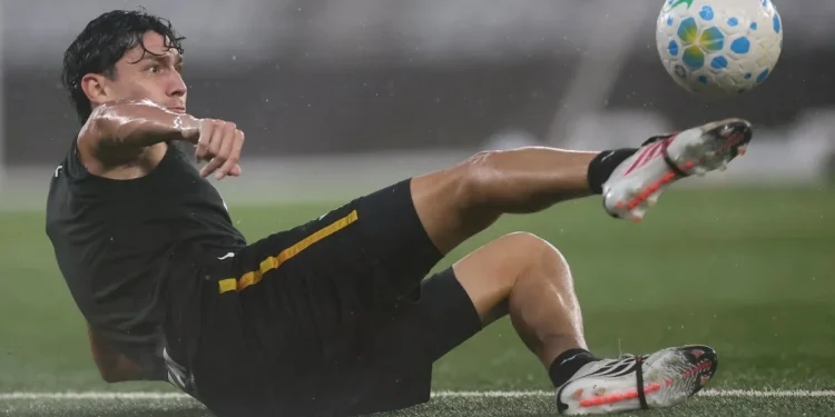 Vitor Silva/Botafogo
