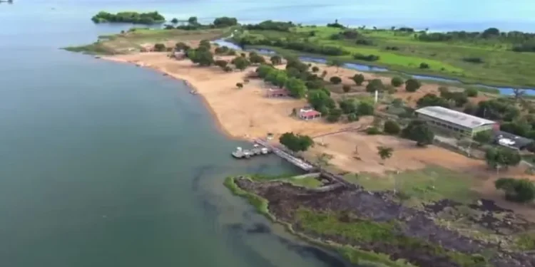 Foto: Reprodução/G1