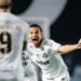 Reprodução / x @santosfc