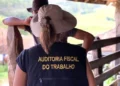 Ministério do Trabalho e Emprego/Divulgação