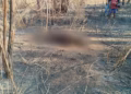 Corpo carbonizado é encontrado em área de mata em Tocantinópolis — Foto: Divulgação/Ra Filmmaker News