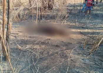 Corpo carbonizado é encontrado em área de mata em Tocantinópolis — Foto: Divulgação/Ra Filmmaker News